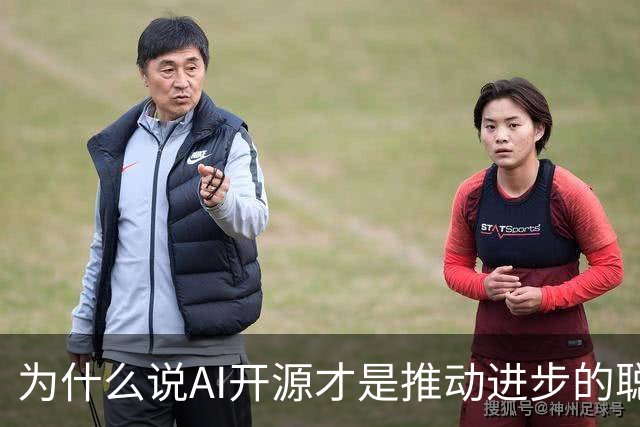 为什么说AI开源才是推动进步的聪明选择？
