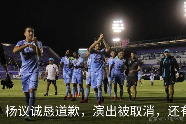 杨议诚恳道歉，演出被取消，还有374万债务没还，文旅局介入核查