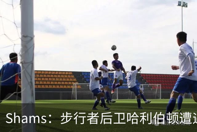 Shams：步行者后卫哈利伯顿遭遇左腿筋拉伤，将缺席一段时间